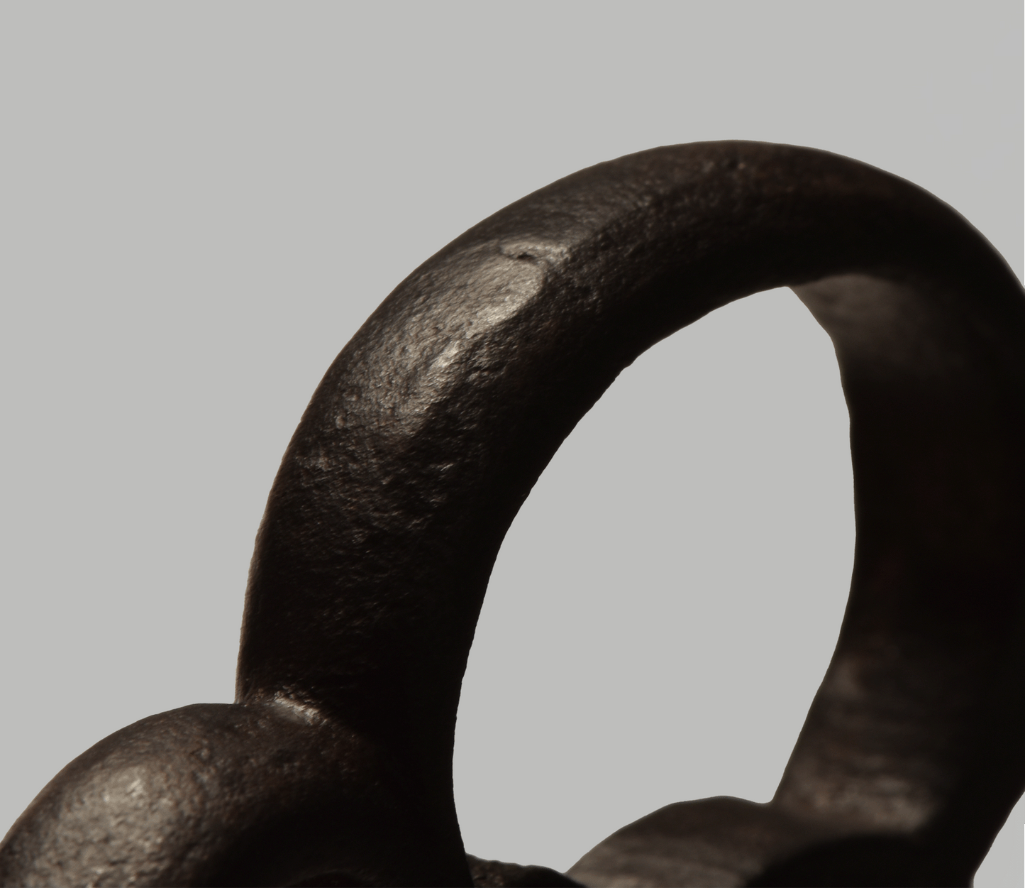 Tsuba - Akasaka Shodai (Kanzan Sato)