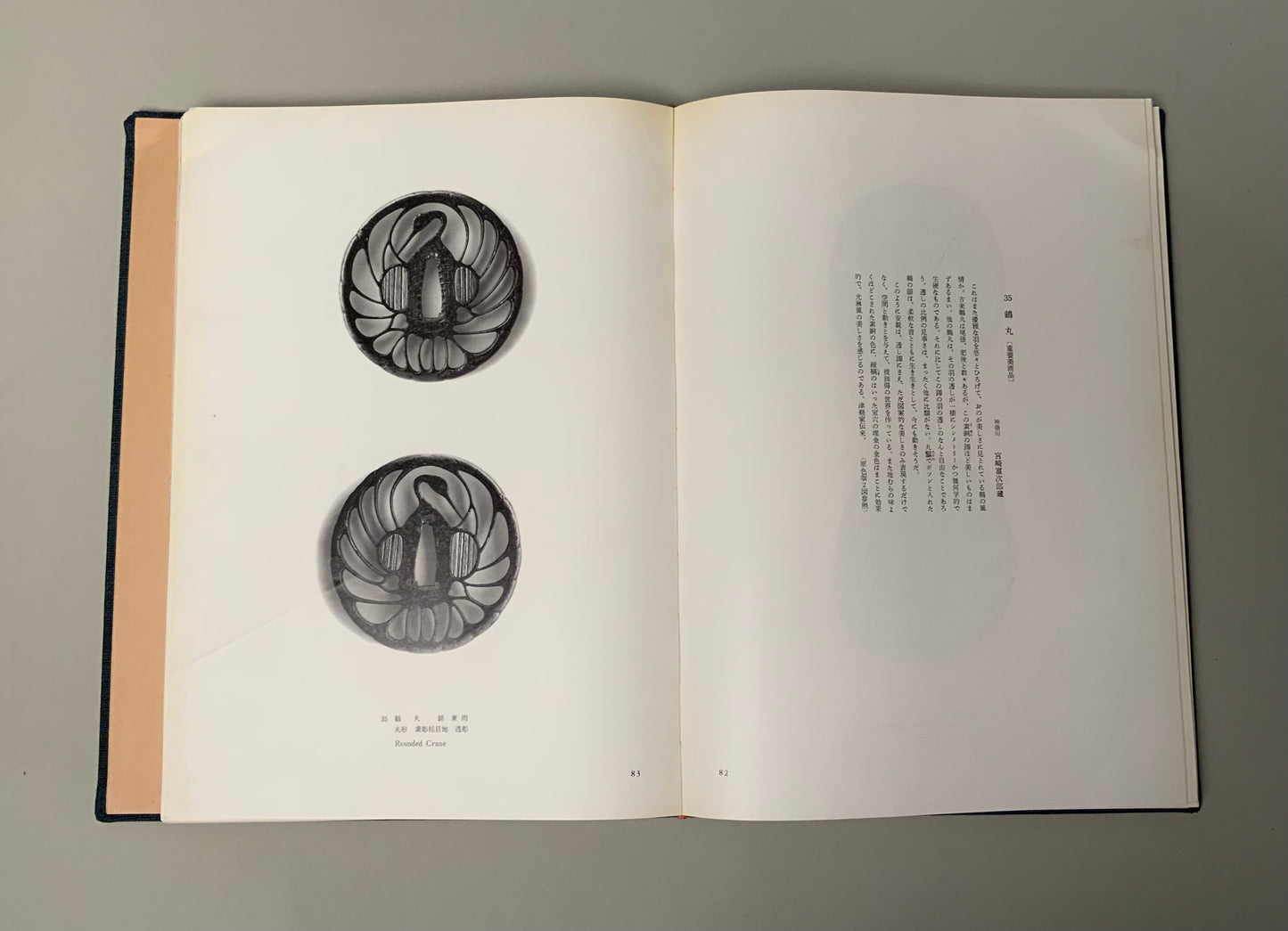 x Books - Yasuchika - Tomijiro Miyazaki