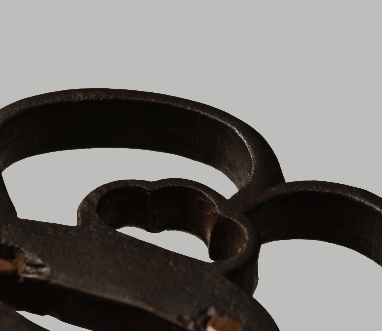 Tsuba - Akasaka Shodai (Kanzan Sato)