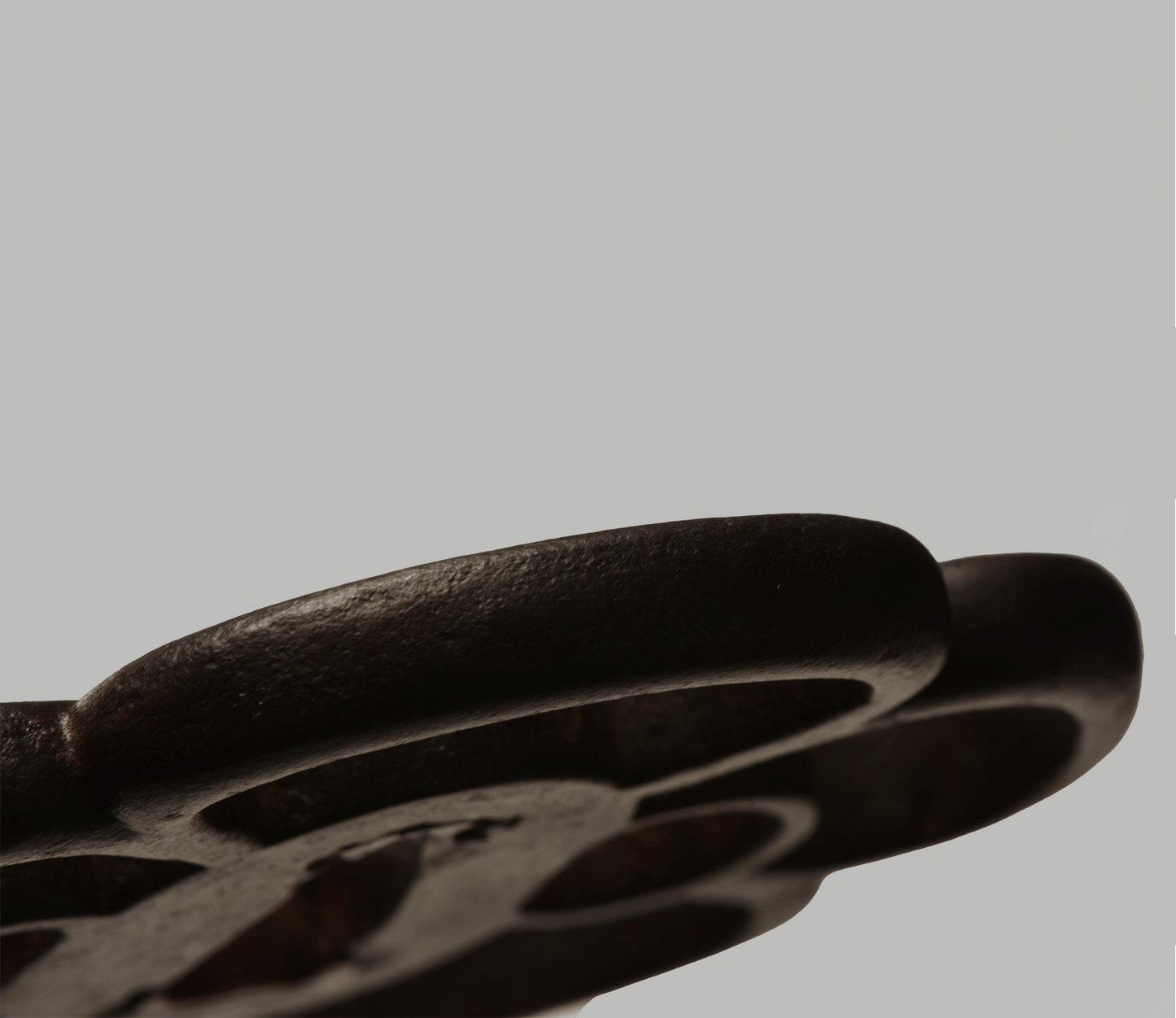 Tsuba - Akasaka Shodai (Kanzan Sato)