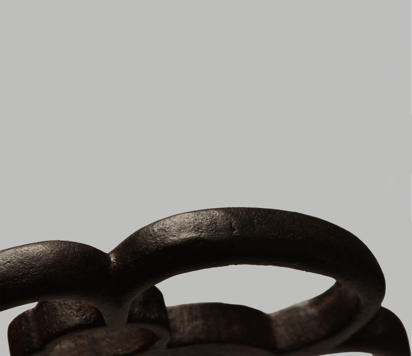 Tsuba - Akasaka Shodai (Kanzan Sato)