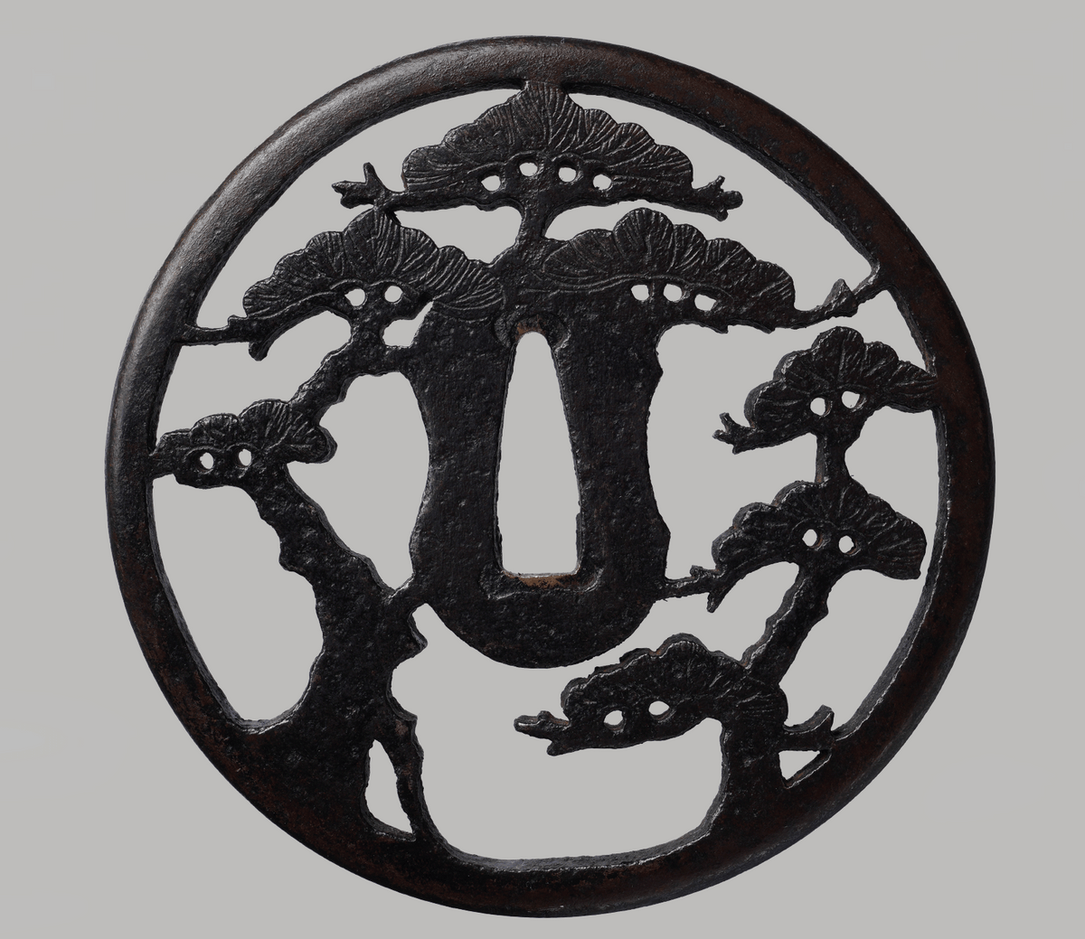 - Tsuba - Higo Omatsune Tsuba — Especially Large, with Box