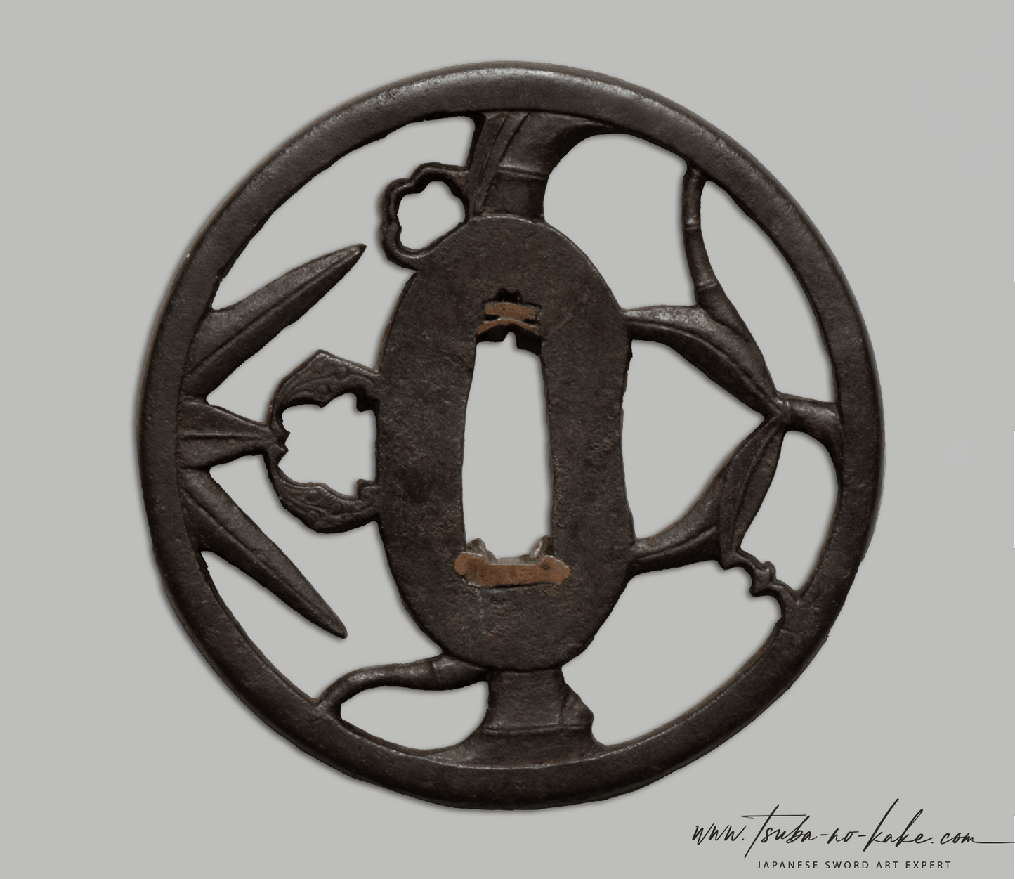 Tsuba - Būshū, Bamboo Myoga, Antik Japan