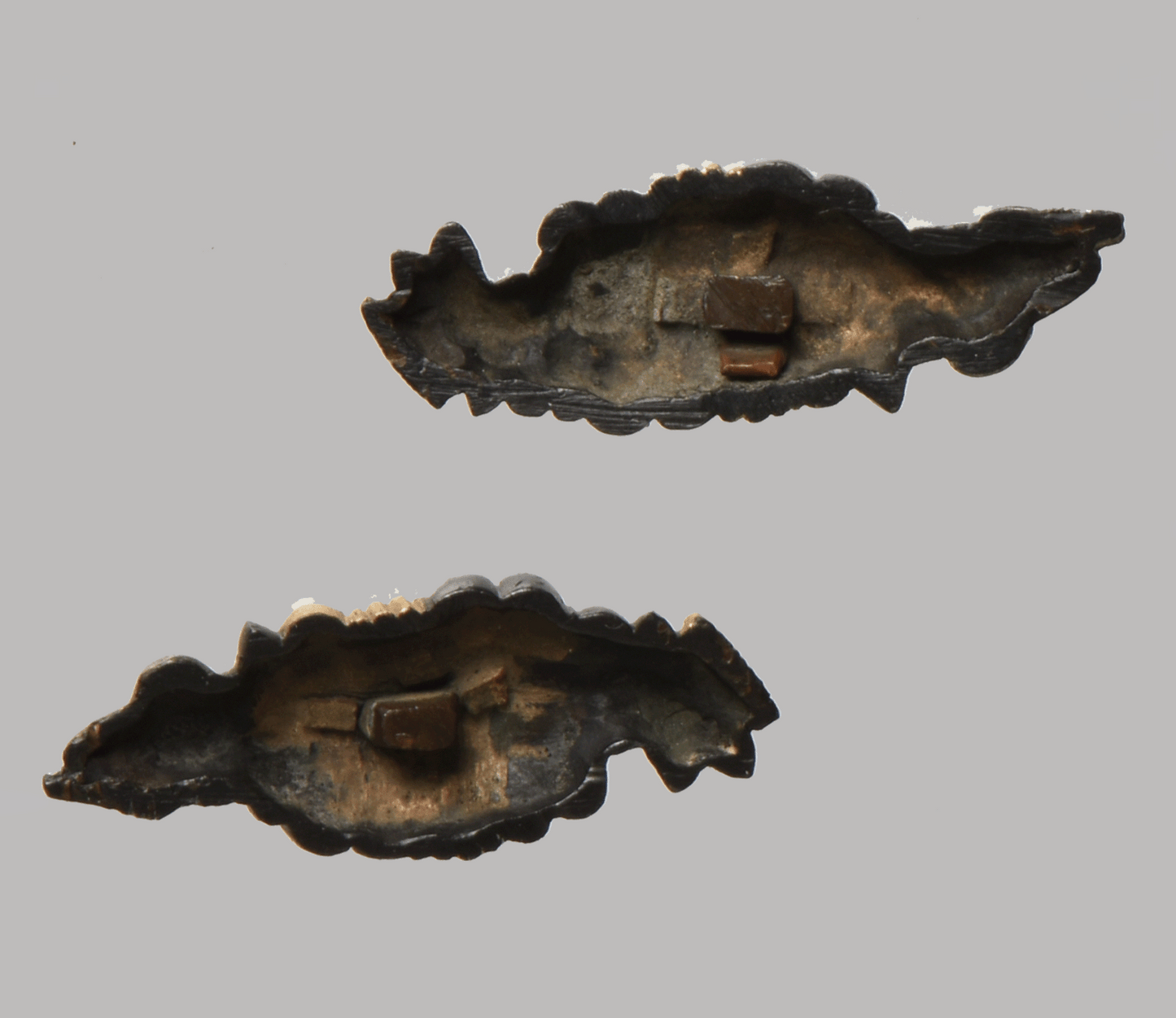 Menuki Chrysanthenum Bouqet, Ko-Kinko NBTHK Hozon